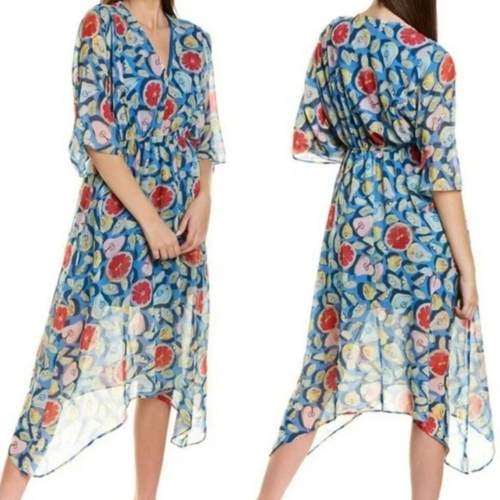 Hutch Anthropologie Augusta Summer Chiffon Fruits Graphic Midi Dress